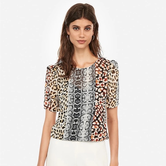 Express cheetah banded top - Picture 1 of 5
